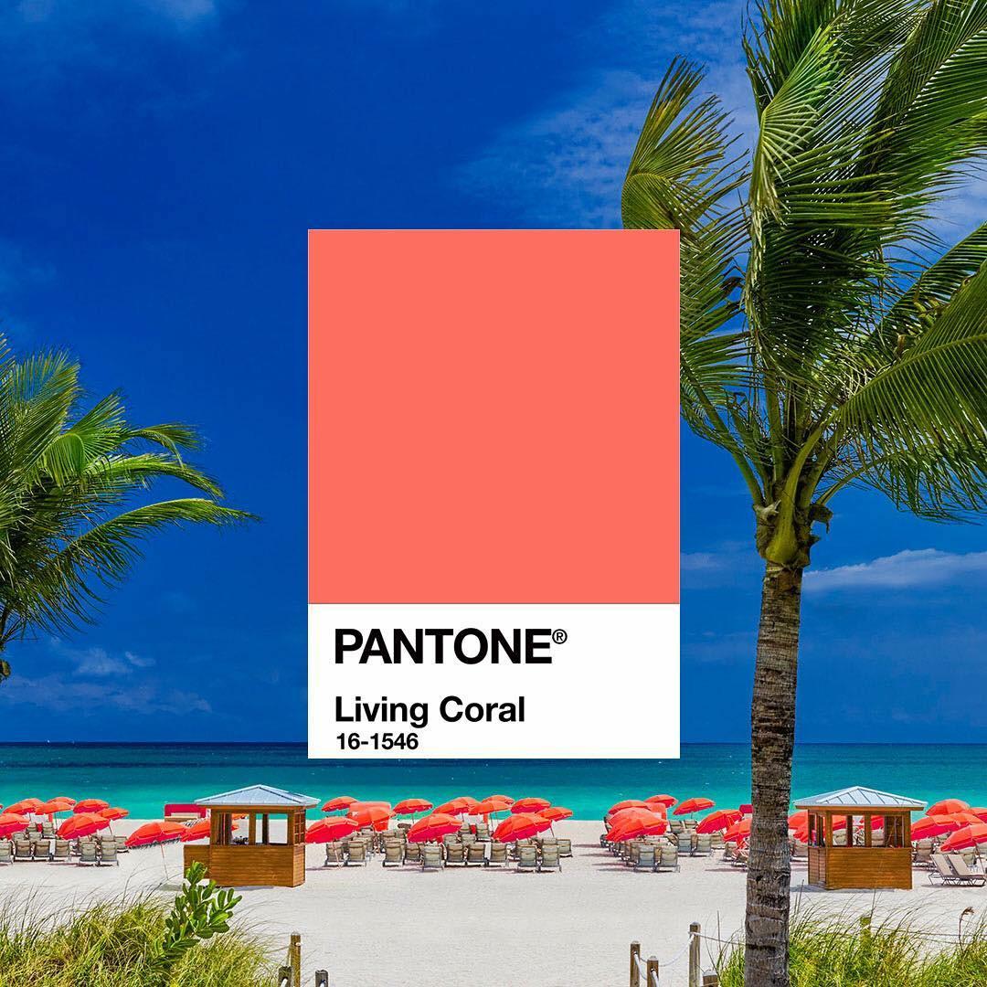 corallo colore pantone 2019